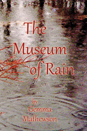 The Museum of Rain book front cover image