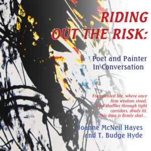 riding out the risk front cover with painting of Hurricane Katrina